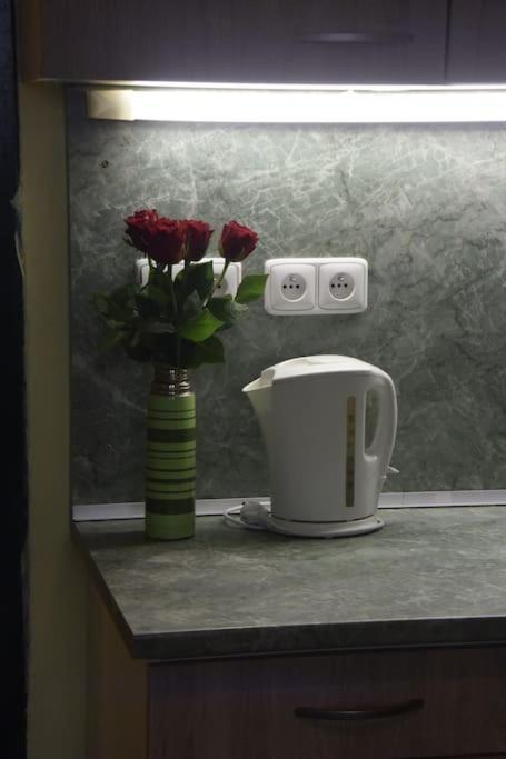 Cosy Warm Apartment In The Heart Of Prague. Екстериор снимка