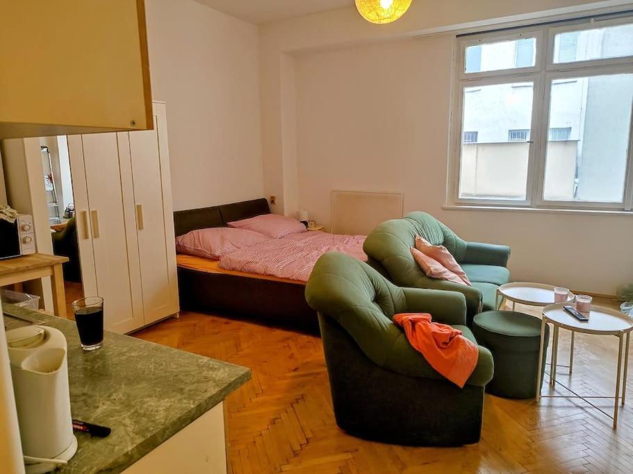 Cosy Warm Apartment In The Heart Of Prague. Екстериор снимка
